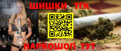 спиды Кингисепп