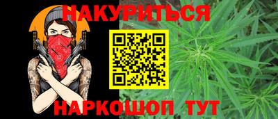 спиды Кингисепп