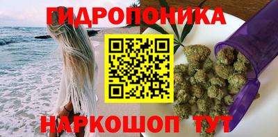 спиды Кингисепп