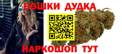 спиды Кингисепп