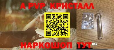 спиды Кингисепп