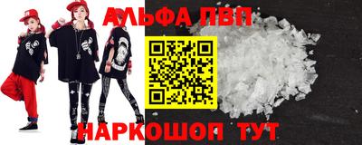 спиды Кингисепп