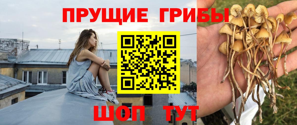 Псилоцибиновые грибы MAGIC MUSHROOMS Дальнереченск