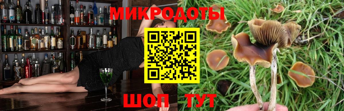 Псилоцибиновые грибы прущие грибы  Псилоцибиновые грибы Psilocybine cubensis  Дальнереченск  Вход с VPN 